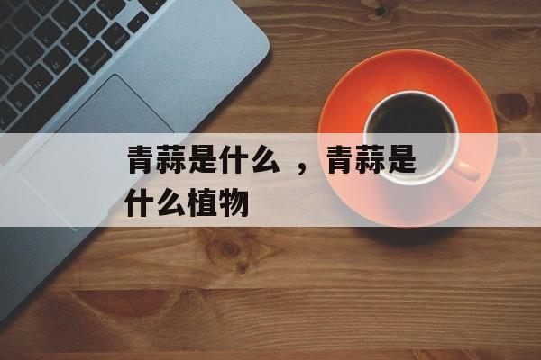 青蒜是什么 ，青蒜是什么植物-第1张图片-