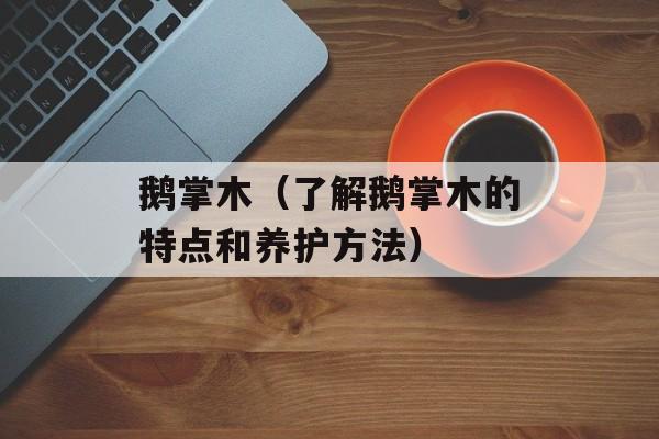 鹅掌木（了解鹅掌木的特点和养护方法）-第1张图片-