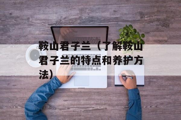鞍山君子兰（了解鞍山君子兰的特点和养护方法）-第1张图片-