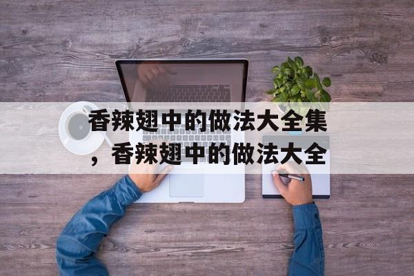 香辣翅中的做法大全集，香辣翅中的做法大全-第1张图片-