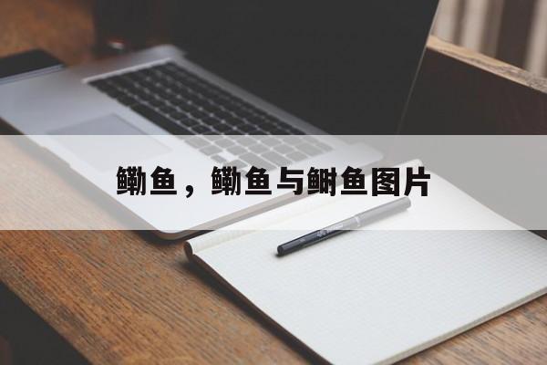 鳓鱼，鳓鱼与鲥鱼图片-第1张图片-