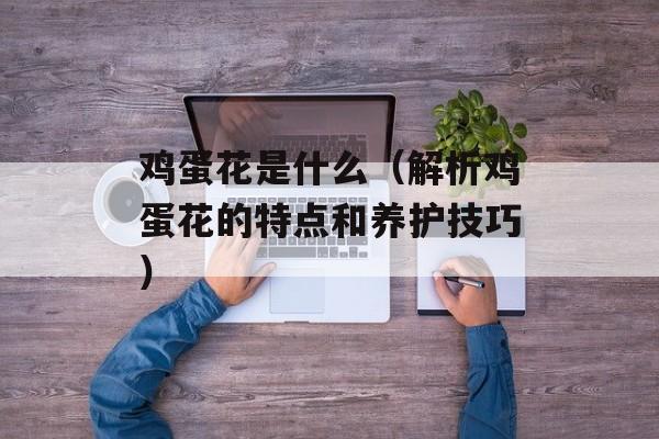 鸡蛋花是什么（解析鸡蛋花的特点和养护技巧）-第1张图片-