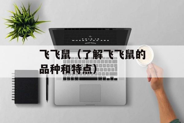 飞飞鼠（了解飞飞鼠的品种和特点）-第1张图片-