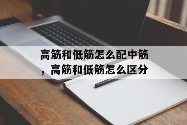 高筋和低筋怎么配中筋，高筋和低筋怎么区分-第1张图片-
