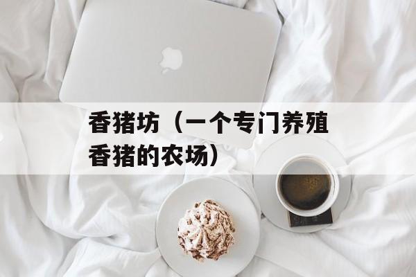 香猪坊（一个专门养殖香猪的农场）-第1张图片-
