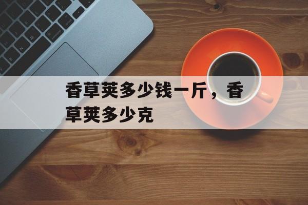 香草荚多少钱一斤，香草荚多少克-第1张图片-