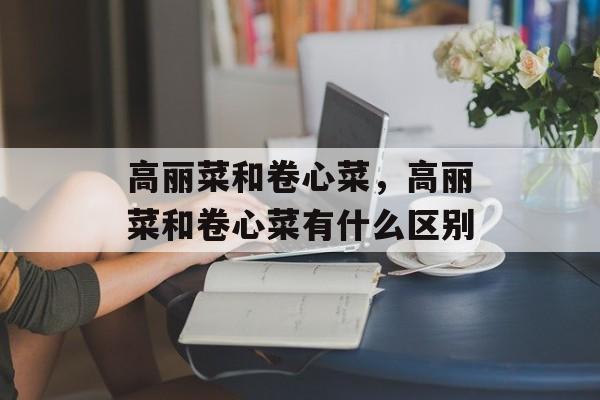 高丽菜和卷心菜，高丽菜和卷心菜有什么区别-第1张图片-