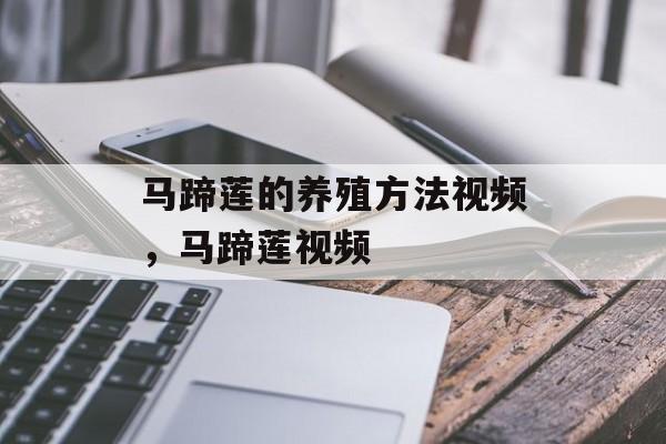 马蹄莲的养殖方法视频,马蹄莲视频-第1张图片- 马蹄莲的养殖方法视频,马蹄莲视频-第1张图片-