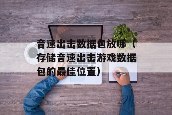 音速出击数据包放哪（存储音速出击游戏数据包的最佳位置）-第1张图片-