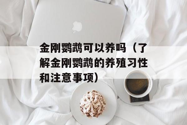 金刚鹦鹉可以养吗（了解金刚鹦鹉的养殖习性和注意事项）-第1张图片-