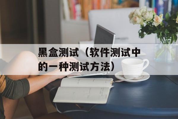 黑盒测试（软件测试中的一种测试方法）-第1张图片-