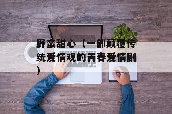 野蛮甜心（一部颠覆传统爱情观的青春爱情剧）-第1张图片-