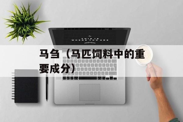 马刍（马匹饲料中的重要成分）-第1张图片-