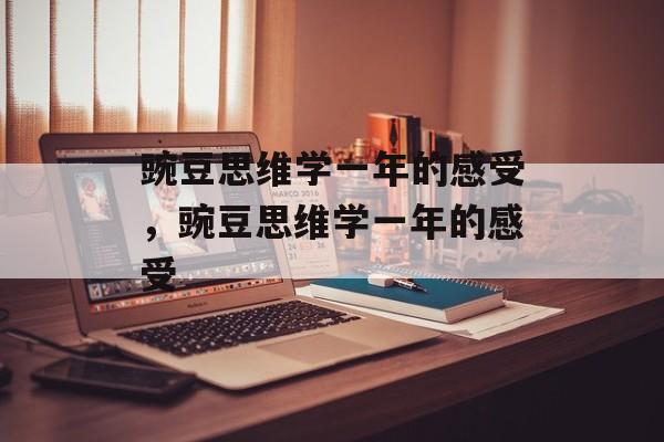 豌豆思维学一年的感受，豌豆思维学一年的感受-第1张图片-