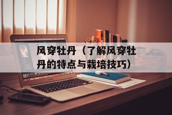 风穿牡丹（了解风穿牡丹的特点与栽培技巧）-第1张图片-