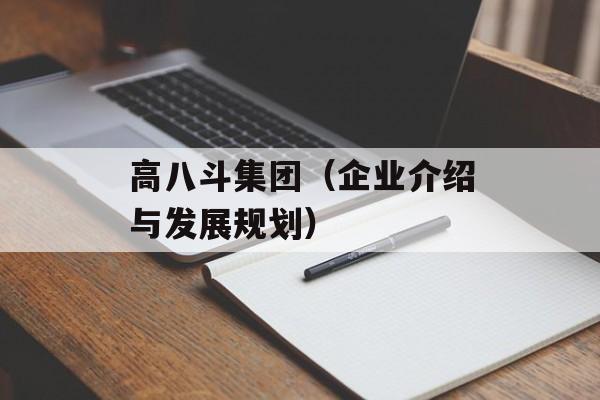 高八斗集团（企业介绍与发展规划）-第1张图片-