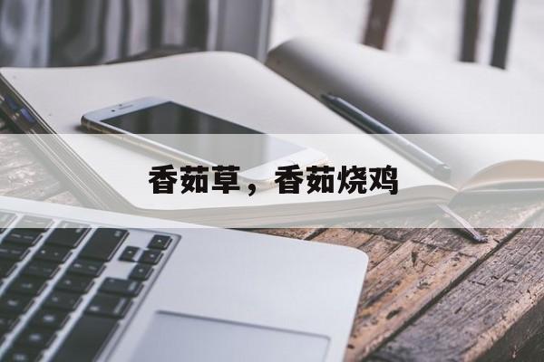 香茹草，香茹烧鸡-第1张图片-