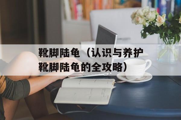 靴脚陆龟（认识与养护靴脚陆龟的全攻略）-第1张图片-