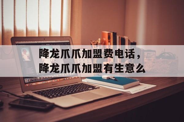 降龙爪爪加盟费电话，降龙爪爪加盟有生意么-第1张图片-