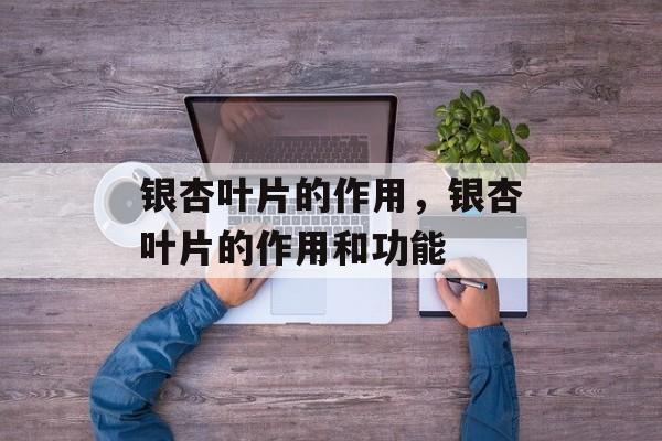 银杏叶片的作用，银杏叶片的作用和功能-第1张图片-