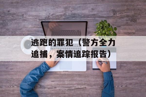 逃跑的罪犯（警方全力追捕，案情追踪报告）-第1张图片-