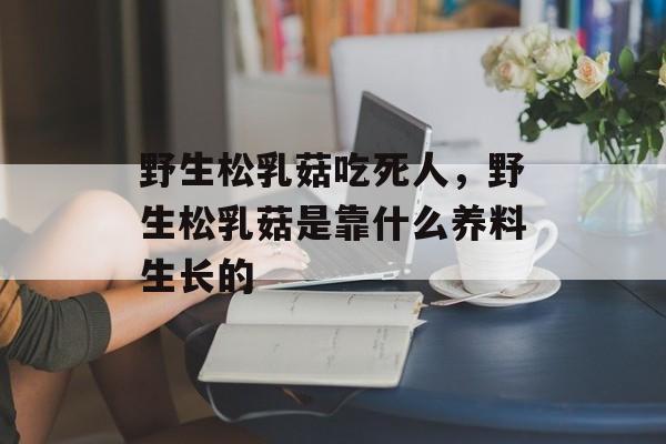 野生松乳菇吃死人，野生松乳菇是靠什么养料生长的-第1张图片-