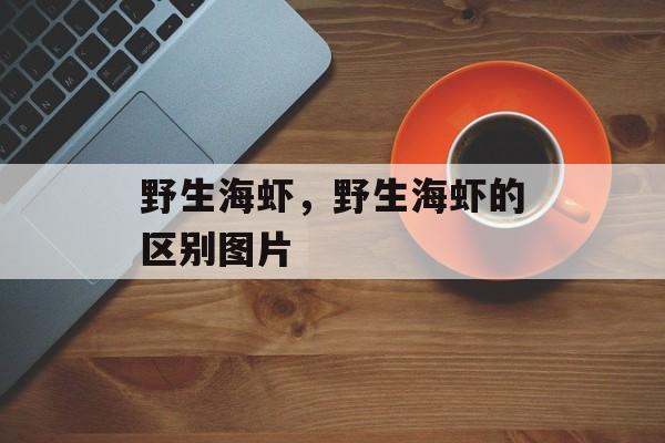 野生海虾，野生海虾的区别图片-第1张图片-