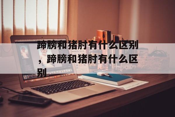 蹄膀和猪肘有什么区别，蹄膀和猪肘有什么区别-第1张图片-