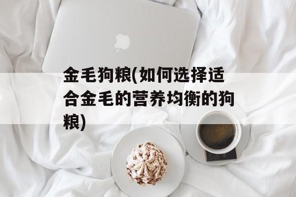 金毛狗粮(如何选择适合金毛的营养均衡的狗粮)-第1张图片-