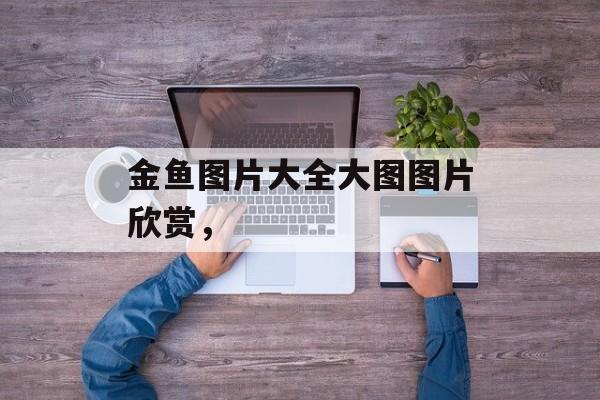 金鱼图片大全大图图片欣赏，-第1张图片-