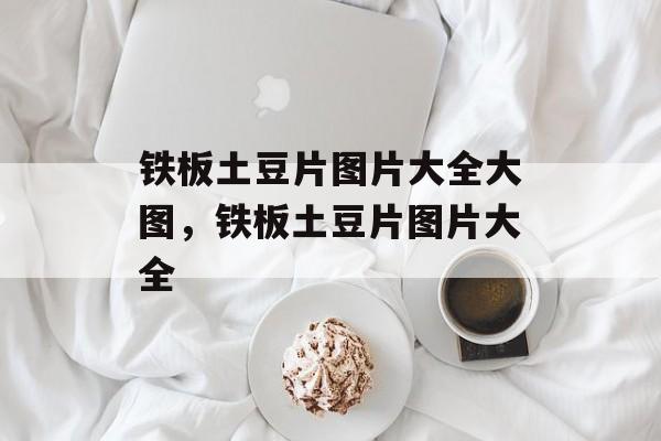 铁板土豆片图片大全大图，铁板土豆片图片大全-第1张图片-