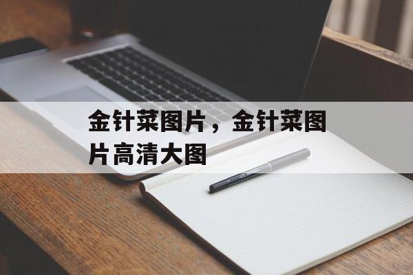 金针菜图片，金针菜图片高清大图-第1张图片-