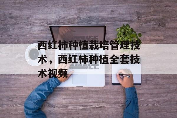 西红柿种植栽培管理技术，西红柿种植全套技术视频-第1张图片-