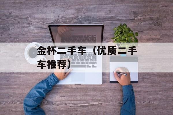 金杯二手车（优质二手车推荐）-第1张图片-