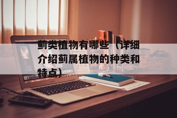 蓟类植物有哪些（详细介绍蓟属植物的种类和特点）-第1张图片-