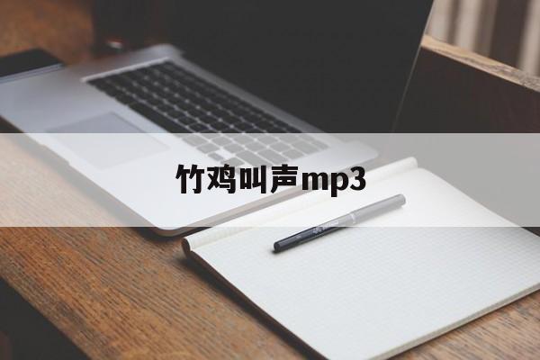 竹鸡叫声mp3-第1张图片-