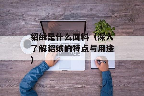 貂绒是什么面料（深入了解貂绒的特点与用途）-第1张图片-