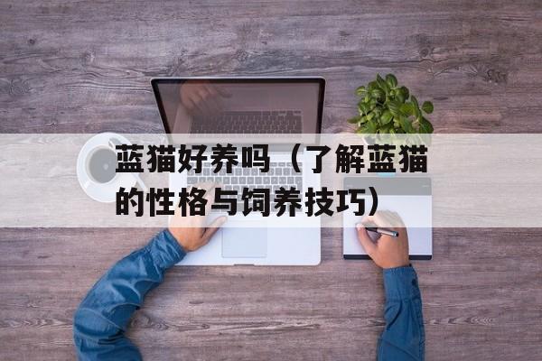 蓝猫好养吗（了解蓝猫的性格与饲养技巧）-第1张图片-