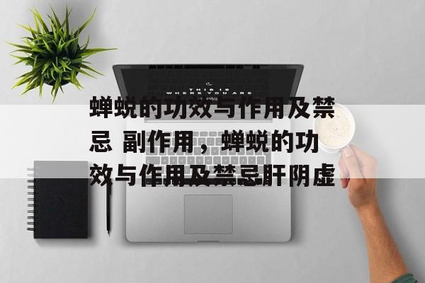 蝉蜕的功效与作用及禁忌 副作用，蝉蜕的功效与作用及禁忌肝阴虚-第1张图片-