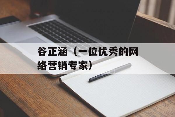 谷正涵（一位优秀的网络营销专家）-第1张图片-