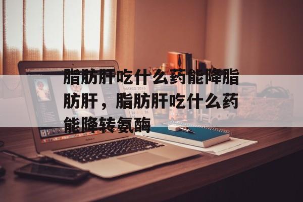 脂肪肝吃什么药能降脂肪肝，脂肪肝吃什么药能降转氨酶-第1张图片-