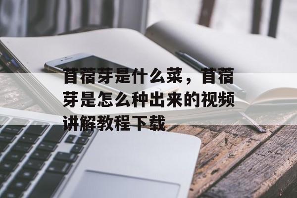 苜蓿芽是什么菜，苜蓿芽是怎么种出来的视频讲解教程下载-第1张图片-