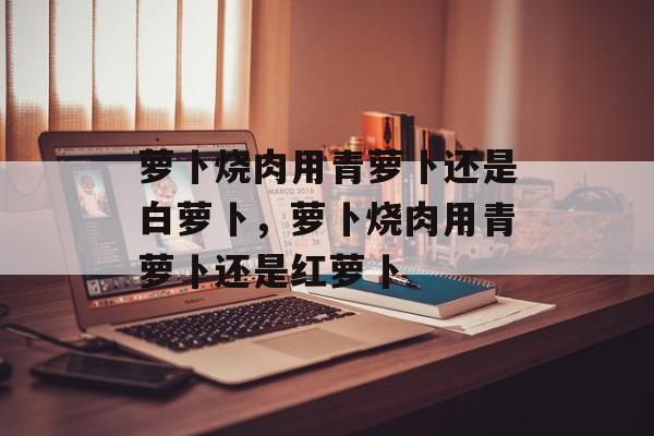萝卜烧肉用青萝卜还是白萝卜，萝卜烧肉用青萝卜还是红萝卜-第1张图片-