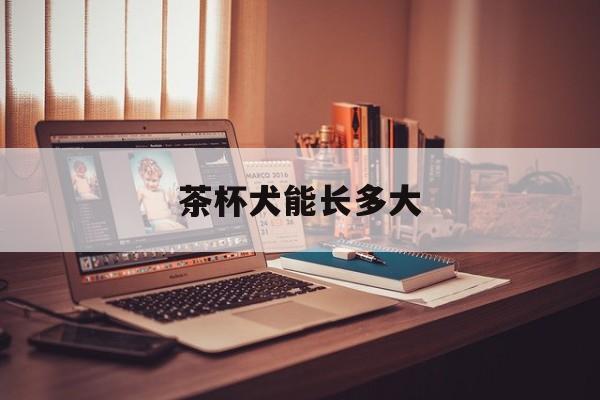 茶杯犬能长多大-第1张图片-