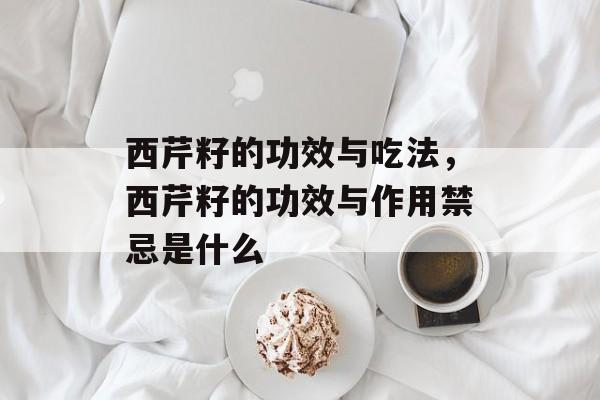 西芹籽的功效与吃法，西芹籽的功效与作用禁忌是什么-第1张图片-