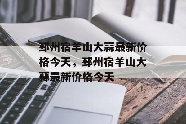 邳州宿羊山大蒜最新价格今天，邳州宿羊山大蒜最新价格今天-第1张图片-