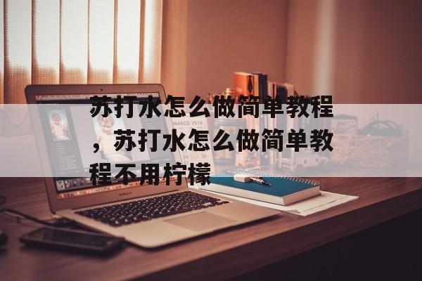 苏打水怎么做简单教程，苏打水怎么做简单教程不用柠檬-第1张图片-