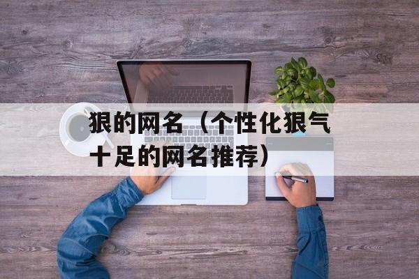 狠的网名（个性化狠气十足的网名推荐）-第1张图片-