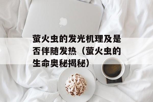 萤火虫的发光机理及是否伴随发热（萤火虫的生命奥秘揭秘）-第1张图片-