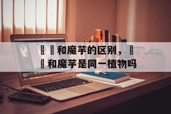 蒟蒻和魔芋的区别，蒟蒻和魔芋是同一植物吗-第1张图片-